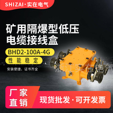 �V�ø����͵͉���|�Ӿ���BHD2-100/1140��660��-3G�V����|�Ӿ�