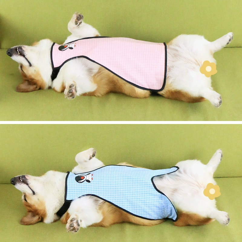 Водонепроницаемый живот собаки защищает живот от грязи и холода летом