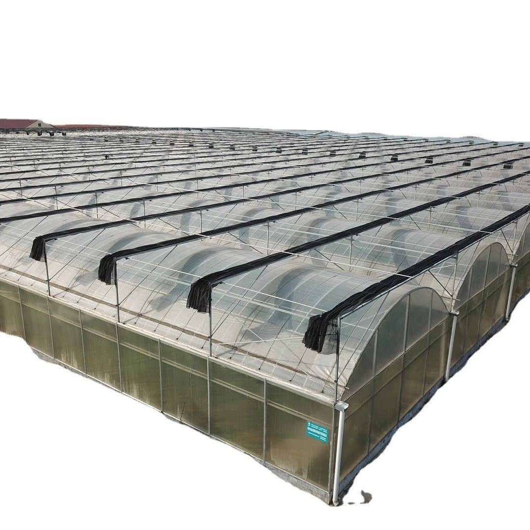 Fábrica directa de invernadero PC tienda de campaña de cultivo de peces sistema de plantación de verduras orgánicas sombra solar