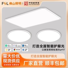 FSL��ɽ����led��ŷ��Լȫ����2025���������������������������
