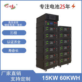 15KW 60KWH高压逆变储能电池一体机带混合逆变器高压电池包锂电池