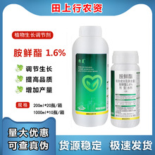 ���� 1.6%���r�� �Ϲ��߲˰ײ˱����������aֲ�����L�{�����rș