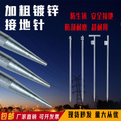接地ピン 電力工学 家庭用発電所 接地棒 接地杭 避雷針 ワンラインT字型亜鉛メッキ避雷器
