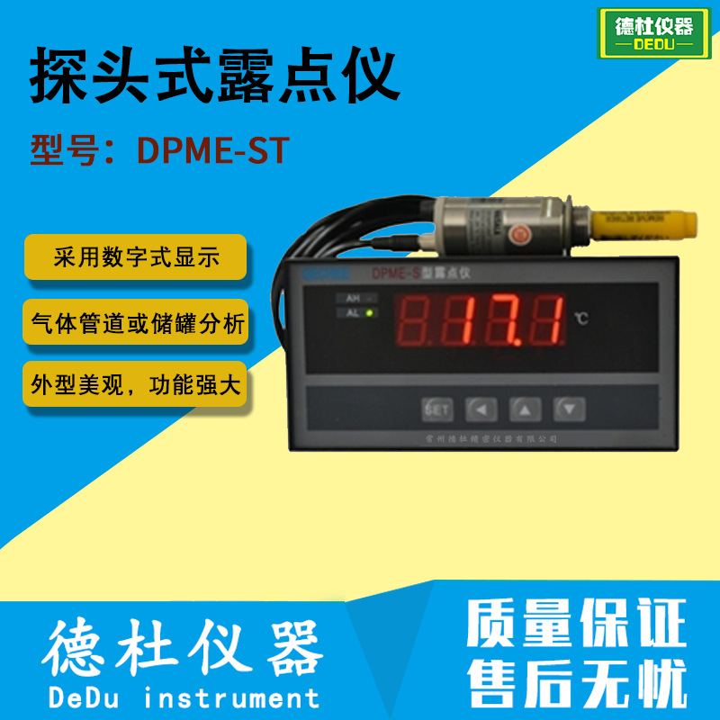 DPME-ST型探头式露点仪 露点测量仪 露点分析仪