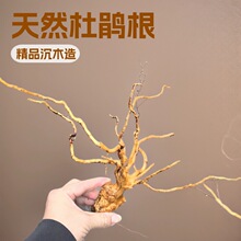 �~��ˮ�ݸ��쾰����ɭ�־��^�ز�Ī˹���γ�ľ���N����֦