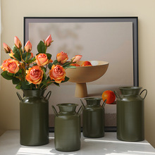 欧式简约提手花瓶现代家居摆件客厅餐桌装饰北欧创意插花布置