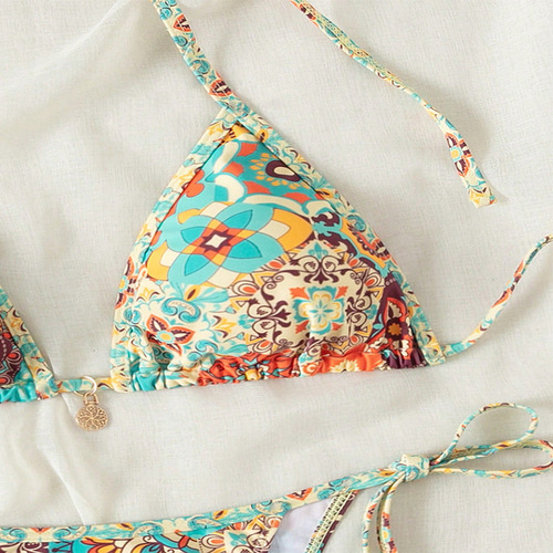 Bikini Swimwear 2025 European and American Printed Sexy Bikini Beach Hot Spring Swimwear for Women