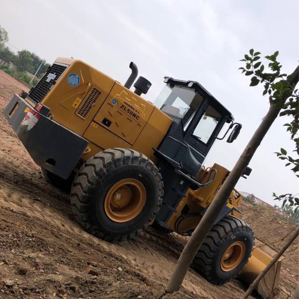 Línea de compras domésticas y extranjeras de segunda mano dragón 855 50 856 cargador de brazos alargados