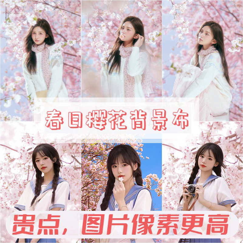 Sakura Peach Blossom Background Cloth Couple Wedding Girl Photo Studio Photo Studio Live Broadcast Background Paper Indoor