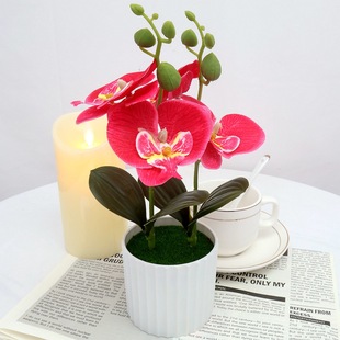 Cross-Border Desktop Display of Simulated Potted Plants for Home Decoration, Environmentally Friendly Silk Screen Printing, Simulated Phalaenopsis Bonsai, Wedding Decoration Flowers