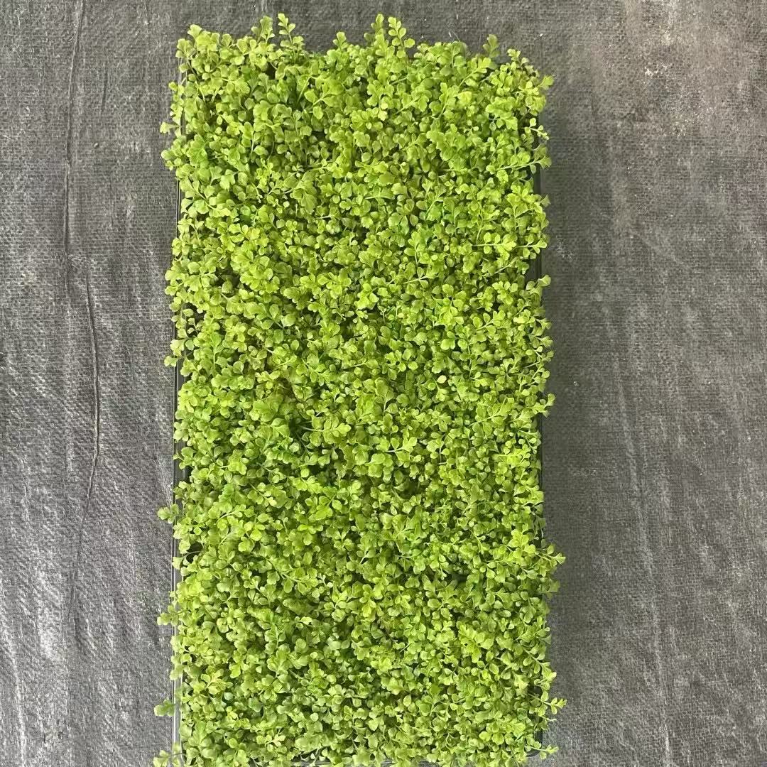 ea6f6ad5b7b3ba723e9fe7fa584456