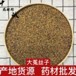 产地货源四川 菟丝子 川菟丝子 大菟丝子 菟丝籽 500g 菟丝子