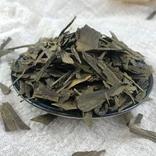 2024yӲ ry~ƬԭayӲ500Ab؛