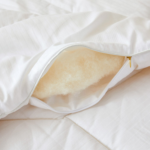 Class A 80S cotton jacquard Australian wool quilt pure cotton cashmere quilt thickened warm winter quilt winter quilt core quilt