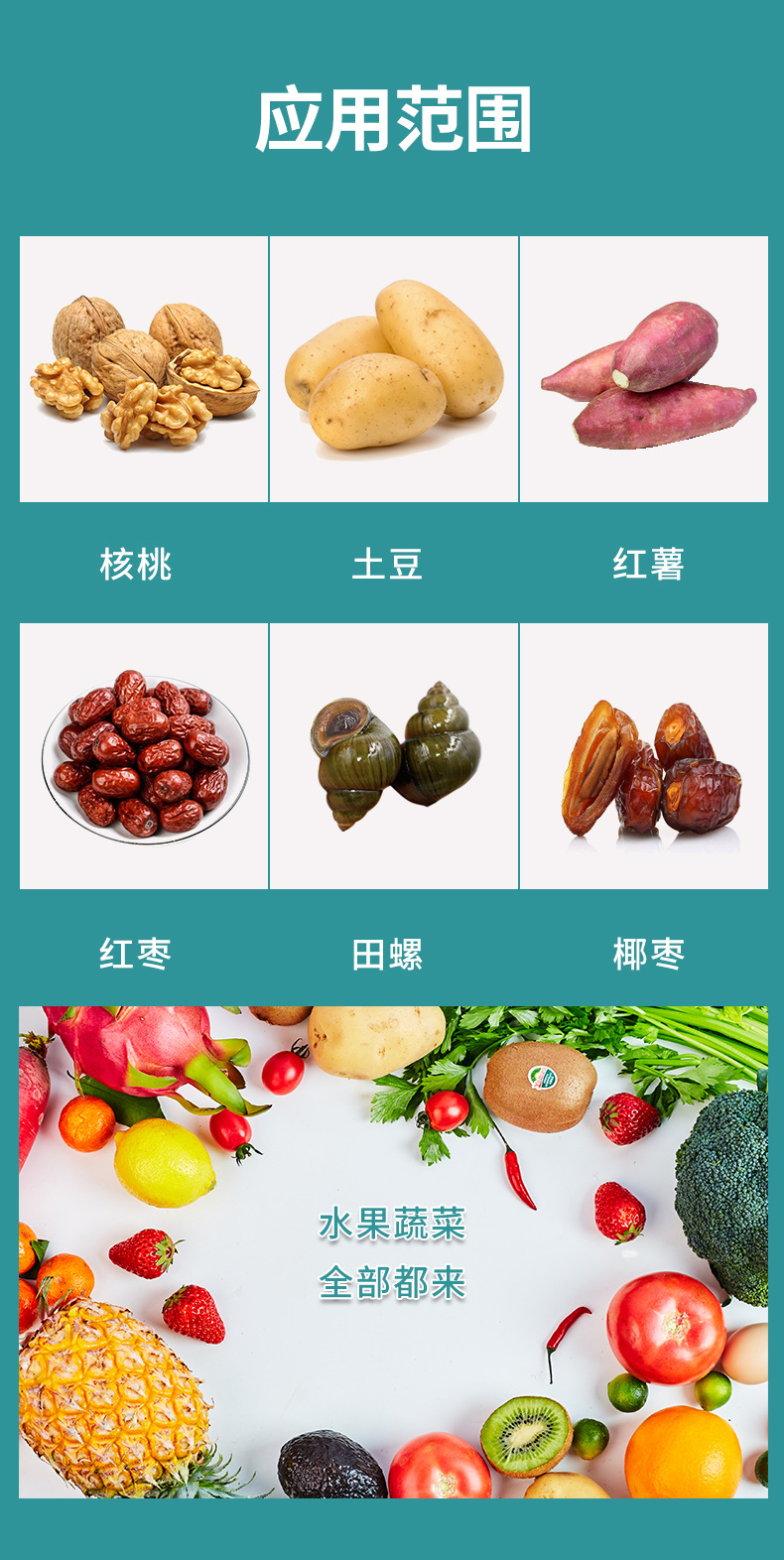 U型輥清洗機詳情圖_10