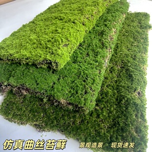 ����̦�\ ����̦����ֲ��bGֲ΢���^ֲ�q��Ƥ�Gɫ������̦