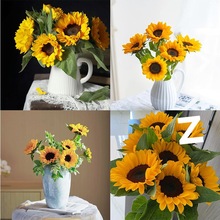 ���տ�̫��r��������ϻ���ֱ�l��ͥ�͏d�廨�Y��ˮ�B���l�滨