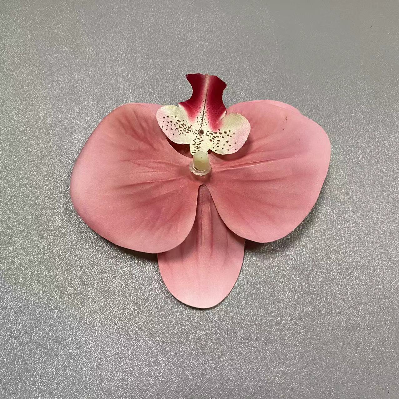 37호