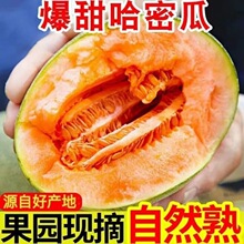 ���ں��Ϲ��ܹ������۱�Ƥ���r�Fժ���ܑ���ˮ�������۹�