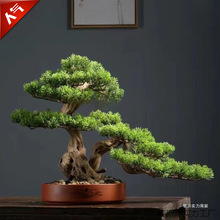 �҃ȿ͏d�ɘ�ӭ�����辰�����ɘ��쾰С�ɘ����Ի����������ɘ�