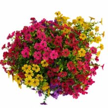���R�d�羳7���ȼ������_�m���滨���������[�������[������ٻ�