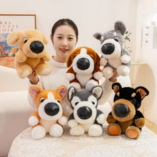 �羳���^��С����ż���й���������ë�q��߃�ͯ���նY���b[��