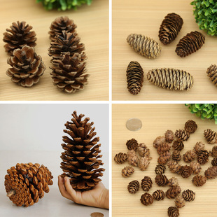 1-18CM�ɹ��}�Q�b�Ʒ�������[���Ĕz���߸ɻ������������l