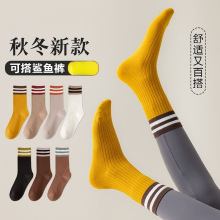 袜子女中筒袜秋冬新款潮百搭运动袜堆堆袜外穿搭配鲨鱼裤袜子