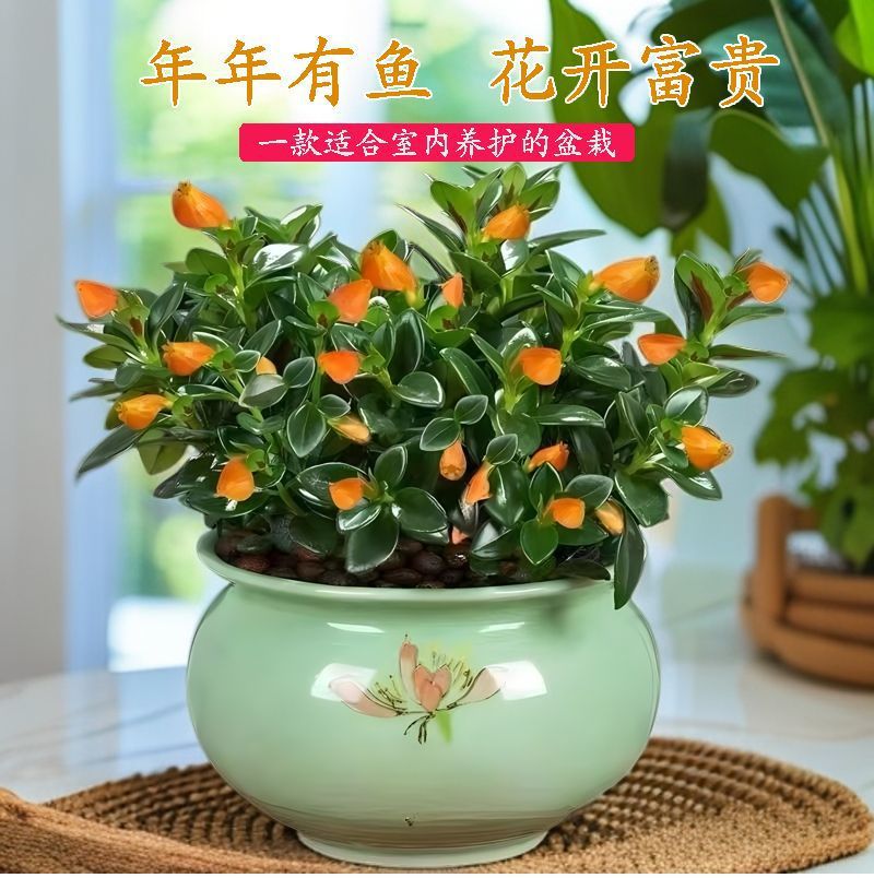 dd108847-c691-4d2f-b74e-b904128554b1.jpe