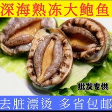 鲍鱼新鲜超级大号商用一整箱冷冻盆菜捞汁海鲜带壳鲜活鲍真空袋装