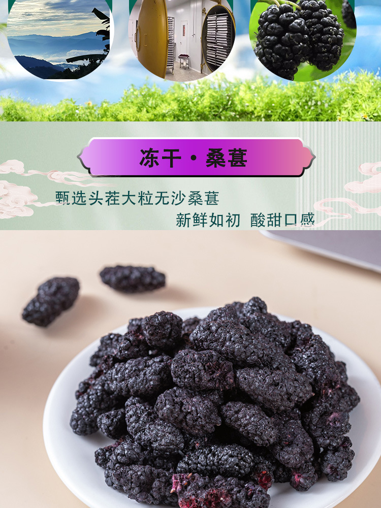 Freeze Dried Mulberry Fruit Dried Sang Shen Mulberry Tea and Wine Making 75g Jar quality and texture