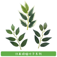 ����ֲ��������~���~���~�ϙ��~ �zӡ�~�� �ڒ��ٗlˮ�ݰ����~Ƭ