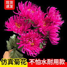 清明节仿真菊花花束上坟墓地扫墓花塑料绢花祭祀殡葬用品摆放假花