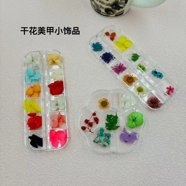Foreign Trade Cross-Border Manicure Dried Flower Jewelry Plum Blossom Box Natural Artificial Flower DIY Nail Jewelry Wholesale Foreign Trade Cross-Border Manicure Dried Flower Jewelry Plum Blossom Box Natural Artificial Flower DIY Nail Jewelry Wholesale