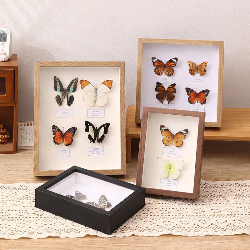 handmade diy butterfly specimen a4 hollow photo frame table a4 insect specimen box dried flower preservation display frame picture frame