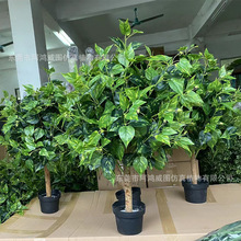 仿真绿植绿萝盆栽杨梅叶树灌木丛造景装饰仿真树仿生摆件高仿真