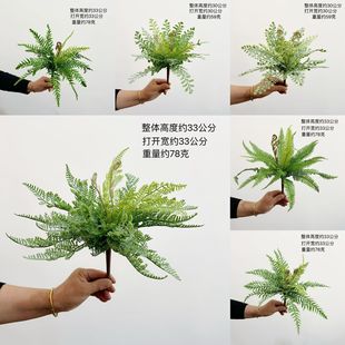 ��� ����ާ�~�Ų�ާ�˹��ֲ��ާ��ֲ���˹�~�~βާ�����