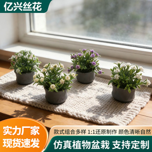 �羳����Gֲ�͏d���晻������[������ٻ��k�������ϾGֲС����