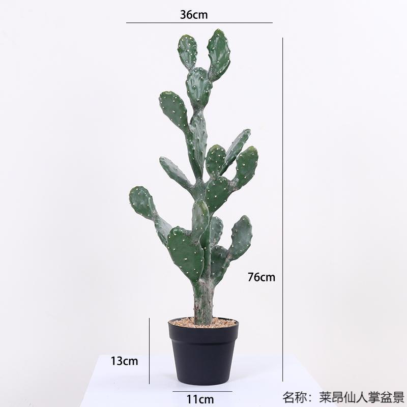 仿真龙神柱仙人掌寄生仙人球摩洛哥沙生植物造景软装样板工程装饰|undefined