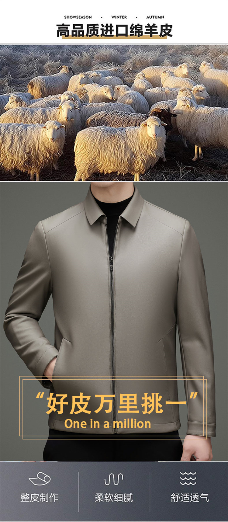 A顶部-皮衣_05.jpg
