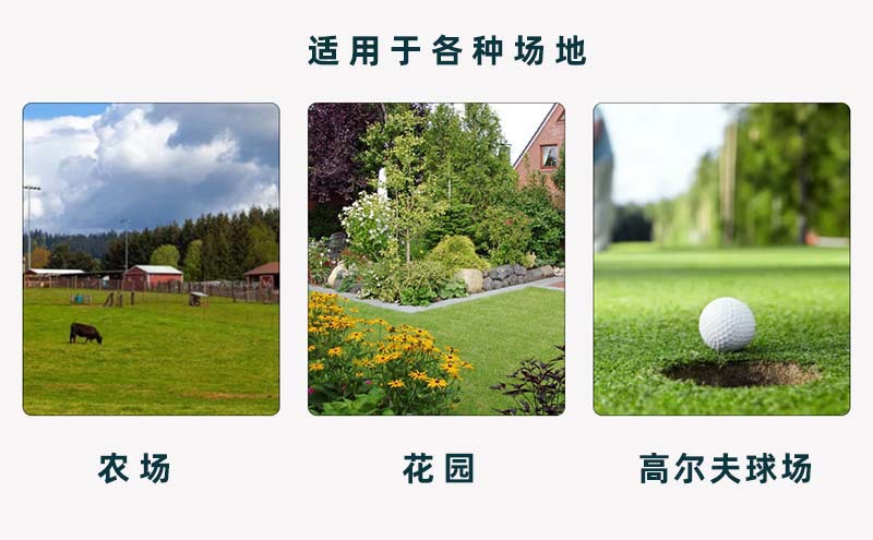 O1CN01BVSAv01kAXnyGKuTB_!!9836