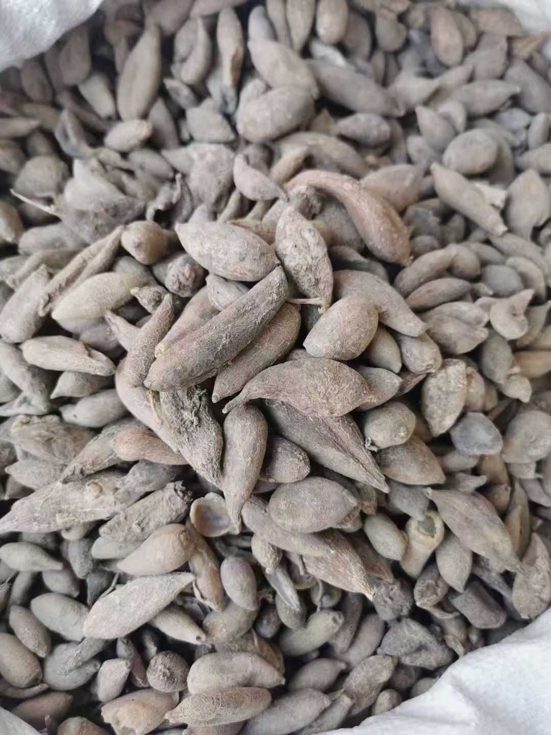 Dried Yu Jin Turmeric Tuber Slices 500g Sulphur-Free Curcuma Root Decoction Herb specifications
