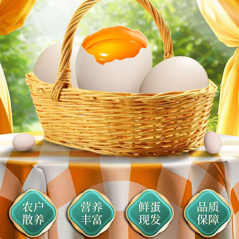 Fresh Ostrich Egg Large Fresh from Farm Edible Ostrich Egg Nutritious National Day Mid-Autumn Festival Gift Delicious Nutritious