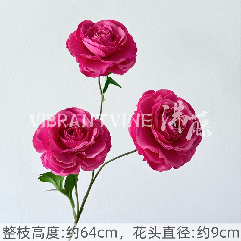Rose red camellia