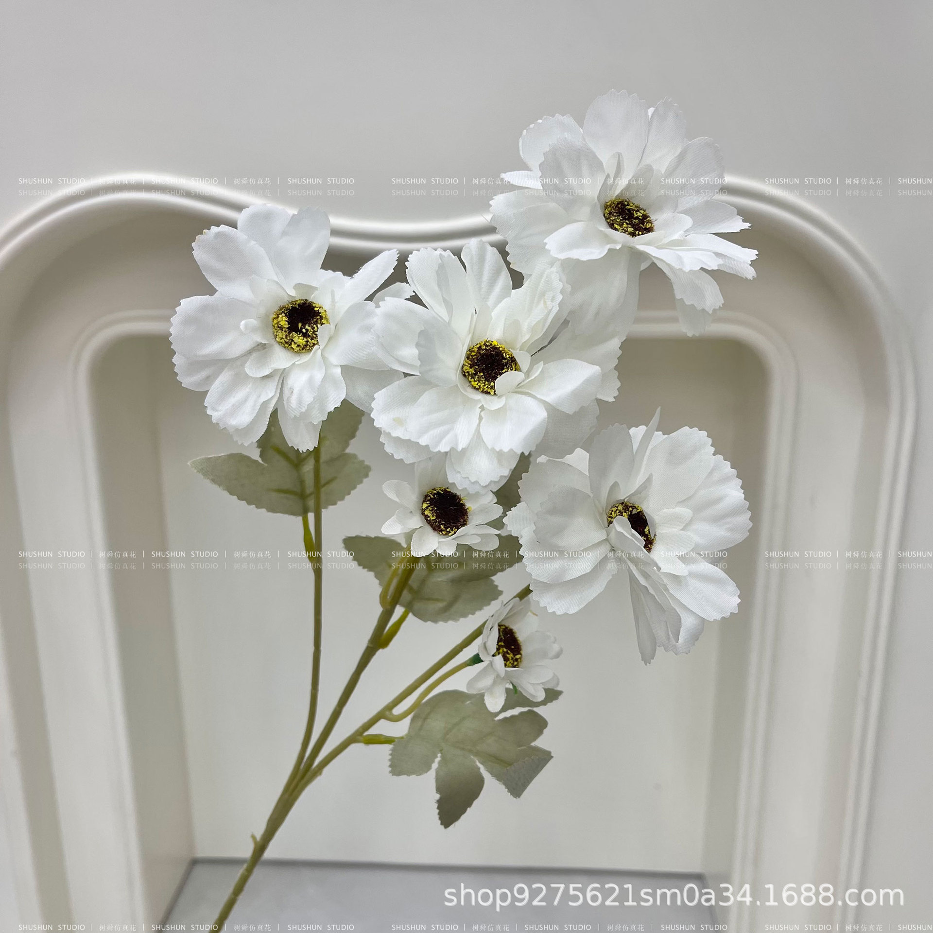 6 cabezas de girasol-blanco