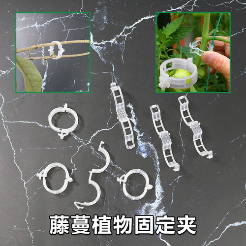 Plant clip/hanging seedling clip/plastic vine tying clip/branch tying clip/hanging vine clip/vine support clip/vine fixing clip