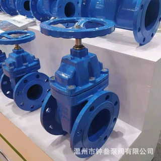 软密封球墨铸铁闸阀 Z45X-16Q 手动暗杆法兰闸阀 Z45X DN200