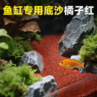 ���Ӽt��ɳ�~�׵�ɳ�tɳ��Ȼ���yɳɳ��ˮ��ɳ���~�׵�ɰ�쾰䁵�