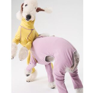 �½qؐ�`�D�����·�����Ȯ�������_�����2024���ﶬ�ݱ���С�`��