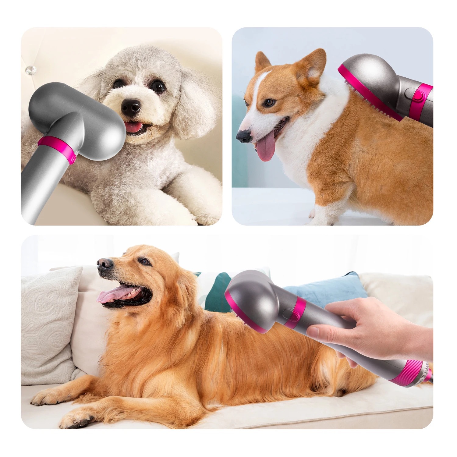 Secador de pelo personalizado para mascotas, peine de aire caliente para secar y peinar el pelo de perros, secador silencioso, peine alisador superventas para Teddy en el mercado internacional. image 6